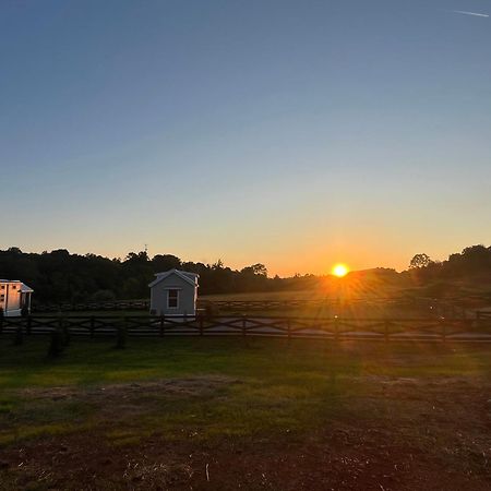 Luxury Riverfront Tiny House- Amazing Views- #111 Strawberry Plains Екстериор снимка